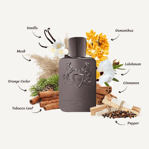 عطر ادکلن پارفومز د مارلی هرود